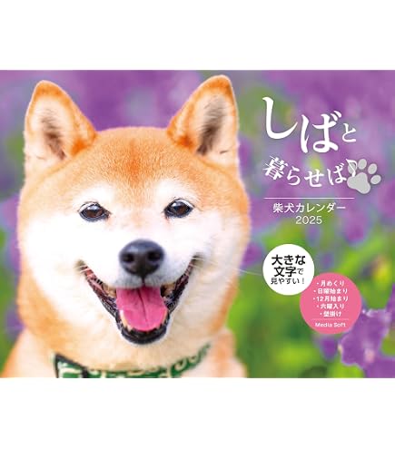Amazon.co.jp: 2025年 柴犬さんのツボ カレンダー No.084 : 文房具